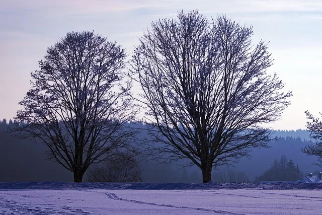 Winterdienst