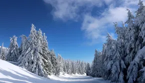 Kuusamo, Oulangan kp, 12/01