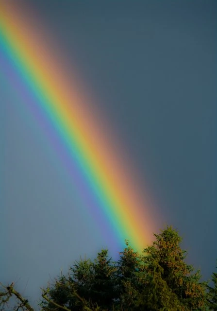 Regenbogen als Spektroskopiebeispiel