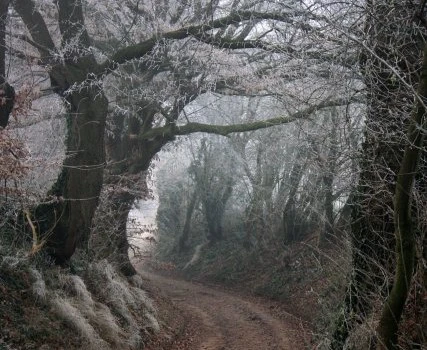 derweg-web_25112_by-juergen-45_piqs_de