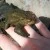 IMG-20160403-WA0005